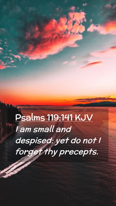 Picture 02 - Psalms 119:141 KJV Mobile Phone Wallpaper - I am small and despised: yet do not I forget thy - Mobile Bible Verse Wallpaper