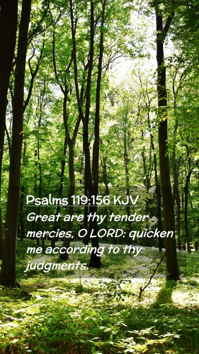 Picture 02 - Psalms 119:156 KJV Mobile Phone Wallpaper - Great are thy tender mercies, O LORD: quicken me - Mobile Bible Verse Wallpaper