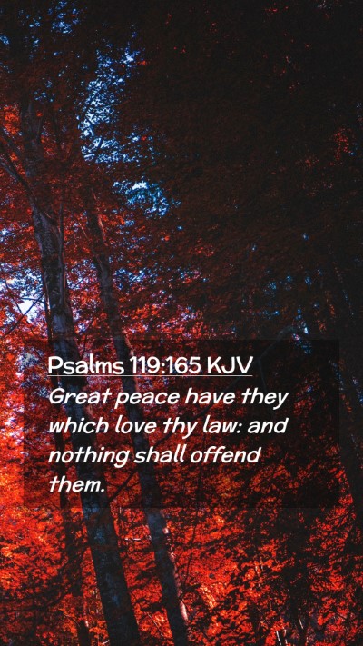 Picture 02 - Psalms 119:165 KJV Mobile Phone Wallpaper - Great peace have they which love thy law: and - Mobile Bible Verse Wallpaper