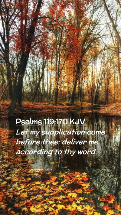 Picture 02 - Psalms 119:170 KJV Mobile Phone Wallpaper - Let my supplication come before thee: deliver me - Mobile Bible Verse Wallpaper