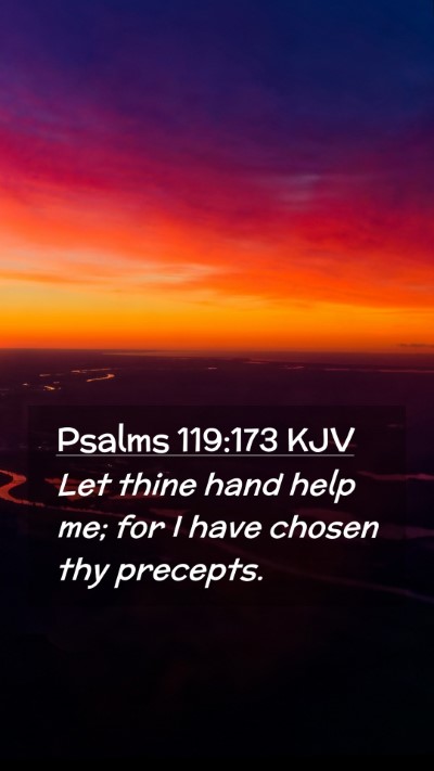 Picture 02 - Psalms 119:173 KJV Mobile Phone Wallpaper - Let thine hand help me; for I have chosen thy - Mobile Bible Verse Wallpaper