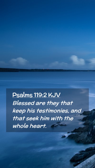 Picture 02 - Psalms 119:2 KJV Mobile Phone Wallpaper - Blessed are they that keep his testimonies, and - Mobile Bible Verse Wallpaper