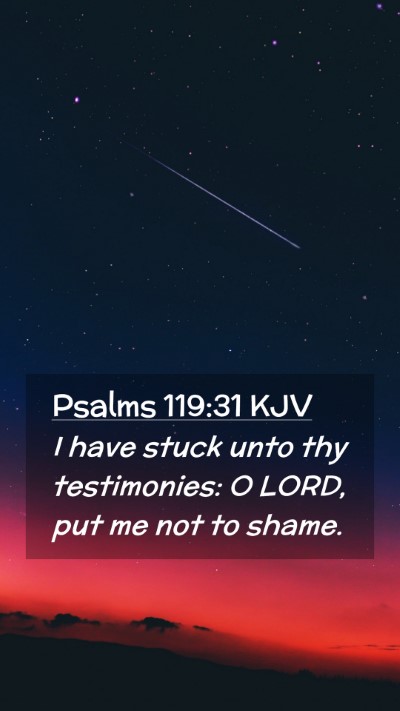 Picture 02 - Psalms 119:31 KJV Mobile Phone Wallpaper - I have stuck unto thy testimonies: O LORD, put me - Mobile Bible Verse Wallpaper