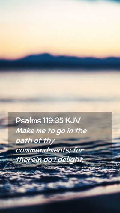 Picture 02 - Psalms 119:35 KJV Mobile Phone Wallpaper - Make me to go in the path of thy commandments; - Mobile Bible Verse Wallpaper