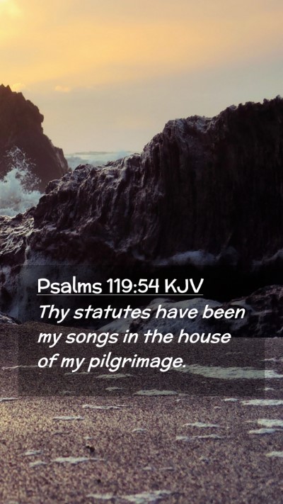 Picture 02 - Psalms 119:54 KJV Mobile Phone Wallpaper - Thy statutes have been my songs in the house of - Mobile Bible Verse Wallpaper