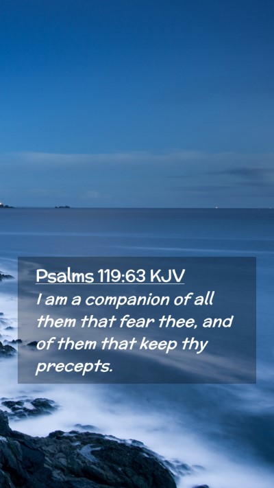 Picture 02 - Psalms 119:63 KJV Mobile Phone Wallpaper - I am a companion of all them that fear thee, and - Mobile Bible Verse Wallpaper