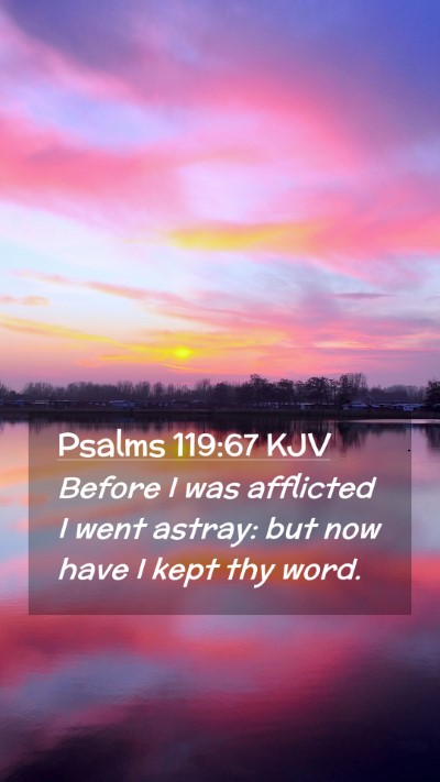 Picture 02 - Psalms 119:67 KJV Mobile Phone Wallpaper - Before I was afflicted I went astray: but now - Mobile Bible Verse Wallpaper