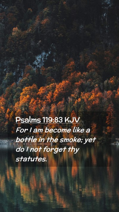 Picture 02 - Psalms 119:83 KJV Mobile Phone Wallpaper - For I am become like a bottle in the smoke; yet - Mobile Bible Verse Wallpaper