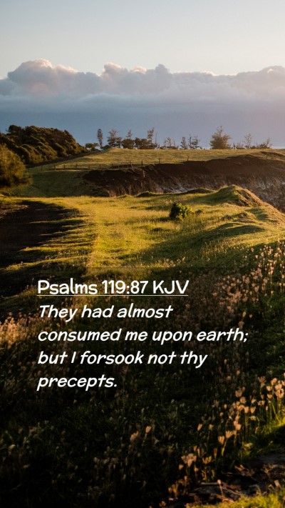 Picture 02 - Psalms 119:87 KJV Mobile Phone Wallpaper - They had almost consumed me upon earth; but I - Mobile Bible Verse Wallpaper
