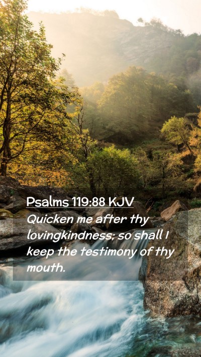 Picture 02 - Psalms 119:88 KJV Mobile Phone Wallpaper - Quicken me after thy lovingkindness; so shall I - Mobile Bible Verse Wallpaper
