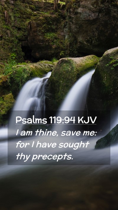 Picture 02 - Psalms 119:94 KJV Mobile Phone Wallpaper - I am thine, save me: for I have sought thy - Mobile Bible Verse Wallpaper