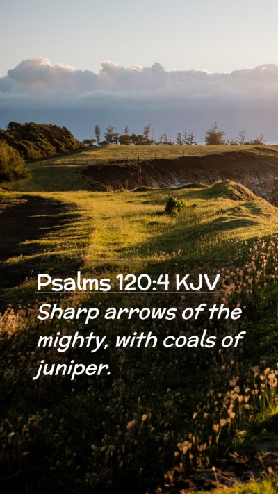Picture 02 - Psalms 120:4 KJV Mobile Phone Wallpaper - Sharp arrows of the mighty, with coals of - Mobile Bible Verse Wallpaper