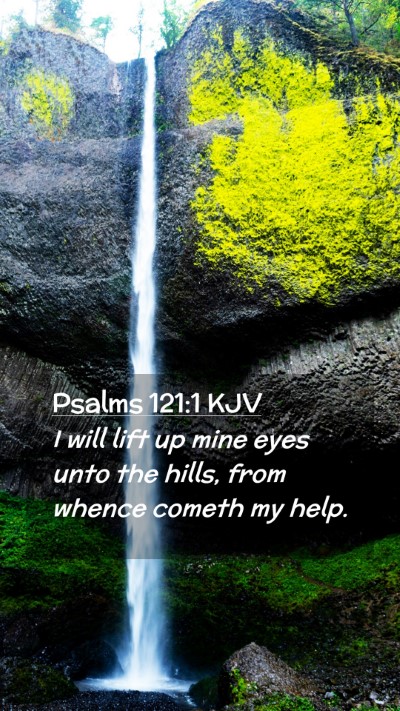 Picture 02 - Psalms 121:1 KJV Mobile Phone Wallpaper - I will lift up mine eyes unto the hills, from - Mobile Bible Verse Wallpaper