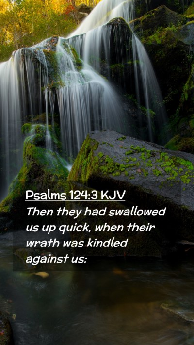 Picture 02 - Psalms 124:3 KJV Mobile Phone Wallpaper - Then they had swallowed us up quick, when their - Mobile Bible Verse Wallpaper