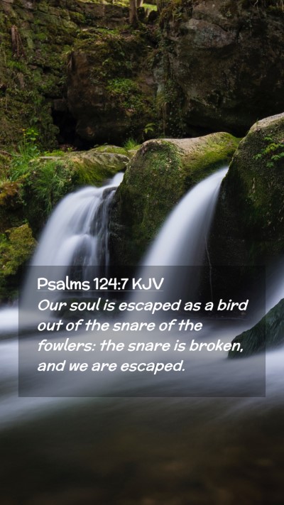 Picture 02 - Psalms 124:7 KJV Mobile Phone Wallpaper - Our soul is escaped as a bird out of the snare of - Mobile Bible Verse Wallpaper