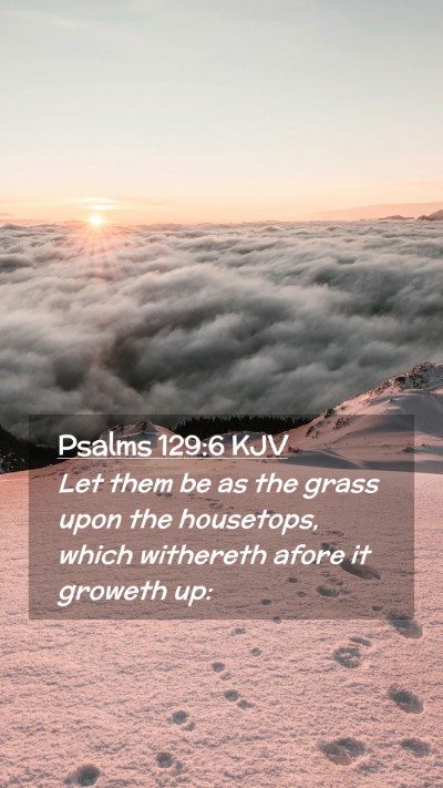 Picture 02 - Psalms 129:6 KJV Mobile Phone Wallpaper - Let them be as the grass upon the housetops, - Mobile Bible Verse Wallpaper