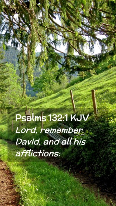 Picture 02 - Psalms 132:1 KJV Mobile Phone Wallpaper - Lord, remember David, and all his - Mobile Bible Verse Wallpaper