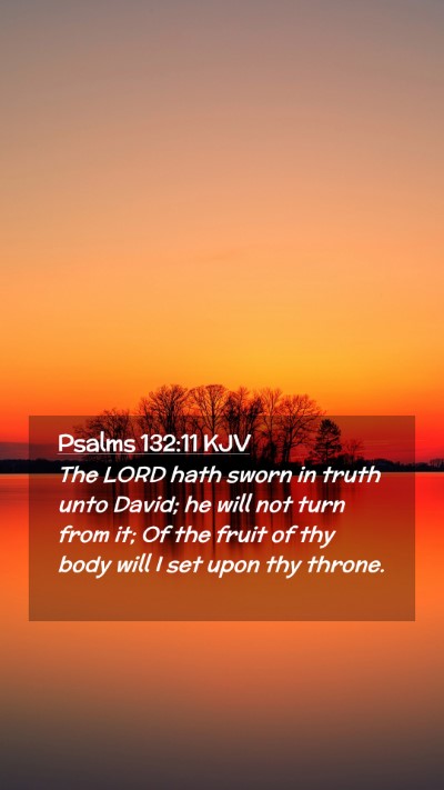 Picture 02 - Psalms 132:11 KJV Mobile Phone Wallpaper - The LORD hath sworn in truth unto David; he will - Mobile Bible Verse Wallpaper