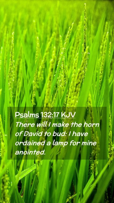 Picture 02 - Psalms 132:17 KJV Mobile Phone Wallpaper - There will I make the horn of David to bud: I - Mobile Bible Verse Wallpaper