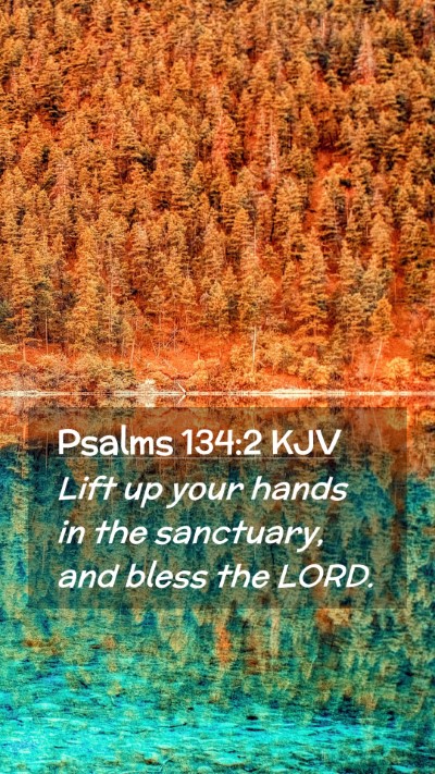 Picture 02 - Psalms 134:2 KJV Mobile Phone Wallpaper - Lift up your hands in the sanctuary, and bless - Mobile Bible Verse Wallpaper