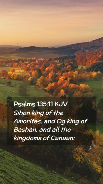 Picture 02 - Psalms 135:11 KJV Mobile Phone Wallpaper - Sihon king of the Amorites, and Og king of - Mobile Bible Verse Wallpaper