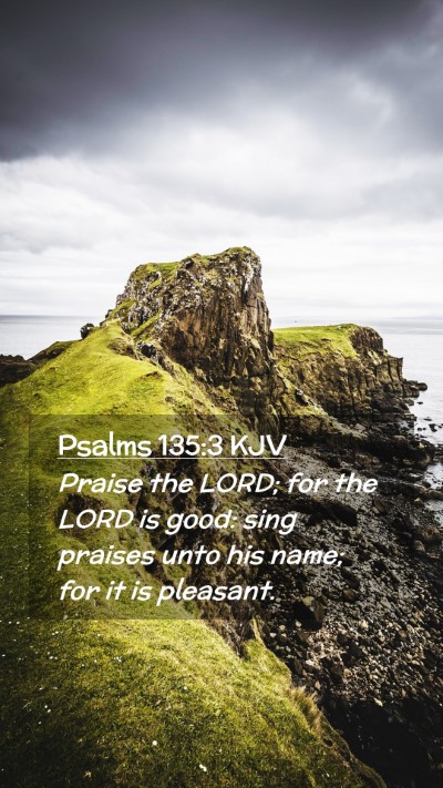 Picture 02 - Psalms 135:3 KJV Mobile Phone Wallpaper - Praise the LORD; for the LORD is good: sing - Mobile Bible Verse Wallpaper