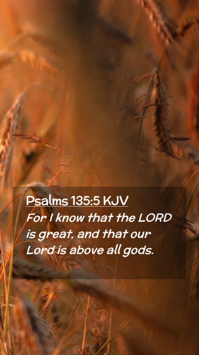 Picture 02 - Psalms 135:5 KJV Mobile Phone Wallpaper - For I know that the LORD is great, and that our - Mobile Bible Verse Wallpaper