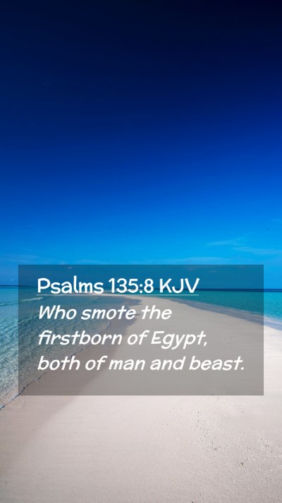 Picture 02 - Psalms 135:8 KJV Mobile Phone Wallpaper - Who smote the firstborn of Egypt, both of man and - Mobile Bible Verse Wallpaper