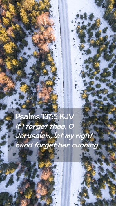 Picture 02 - Psalms 137:5 KJV Mobile Phone Wallpaper - If I forget thee, O Jerusalem, let my right hand - Mobile Bible Verse Wallpaper