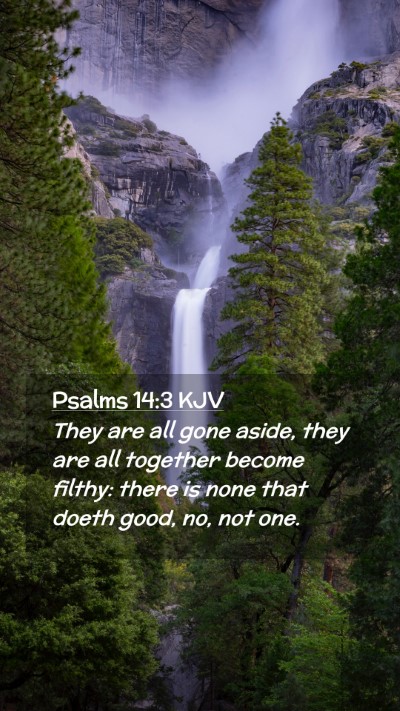 Picture 02 - Psalms 14:3 KJV Mobile Phone Wallpaper - They are all gone aside, they are all together - Mobile Bible Verse Wallpaper