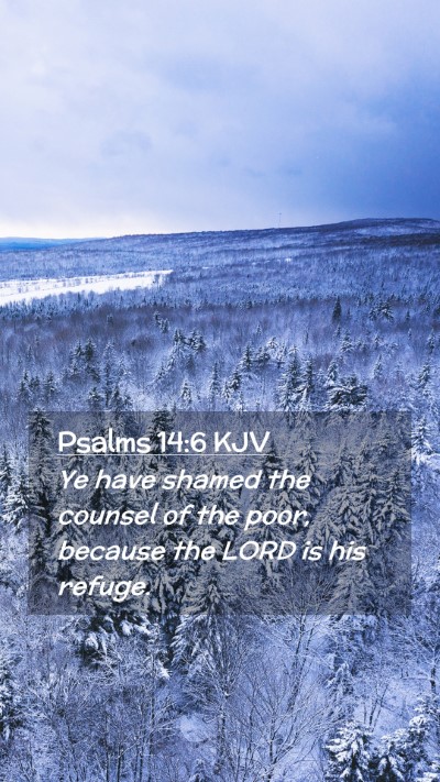 Picture 02 - Psalms 14:6 KJV Mobile Phone Wallpaper - Ye have shamed the counsel of the poor, because - Mobile Bible Verse Wallpaper