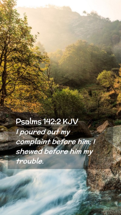 Picture 02 - Psalms 142:2 KJV Mobile Phone Wallpaper - I poured out my complaint before him; I shewed - Mobile Bible Verse Wallpaper