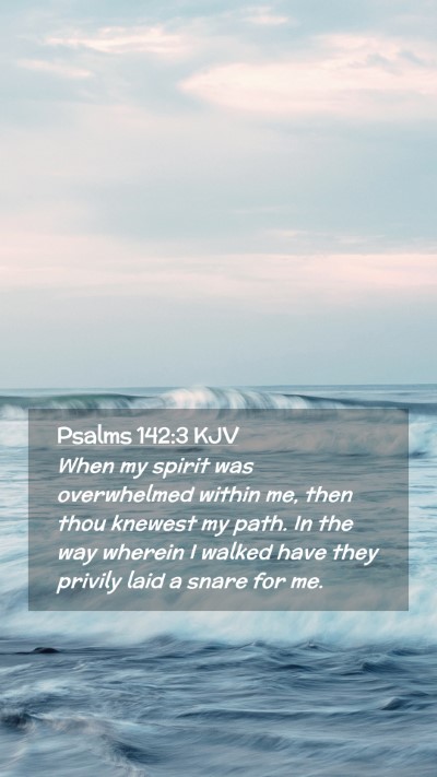 Picture 02 - Psalms 142:3 KJV Mobile Phone Wallpaper - When my spirit was overwhelmed within me, then - Mobile Bible Verse Wallpaper