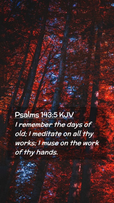 Picture 02 - Psalms 143:5 KJV Mobile Phone Wallpaper - I remember the days of old; I meditate on all thy - Mobile Bible Verse Wallpaper