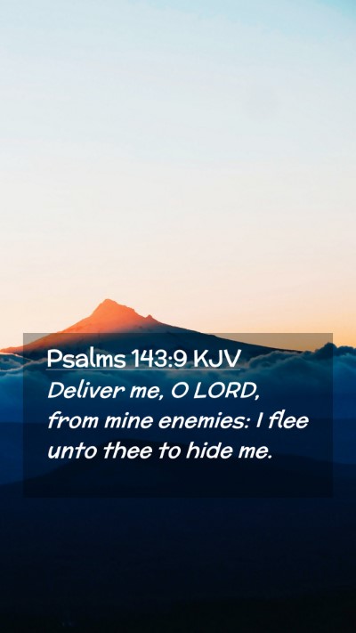 Picture 02 - Psalms 143:9 KJV Mobile Phone Wallpaper - Deliver me, O LORD, from mine enemies: I flee - Mobile Bible Verse Wallpaper