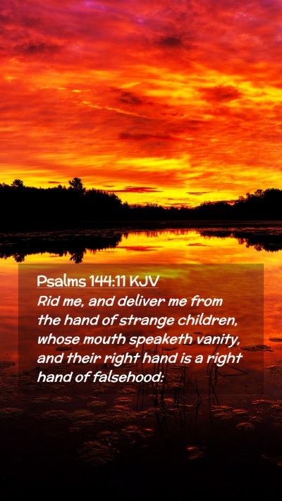 Picture 02 - Psalms 144:11 KJV Mobile Phone Wallpaper - Rid me, and deliver me from the hand of strange - Mobile Bible Verse Wallpaper