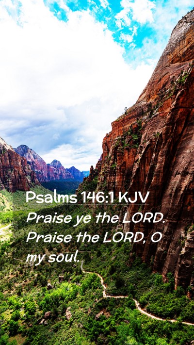 Picture 02 - Psalms 146:1 KJV Mobile Phone Wallpaper - Praise ye the LORD. Praise the LORD, O my - Mobile Bible Verse Wallpaper