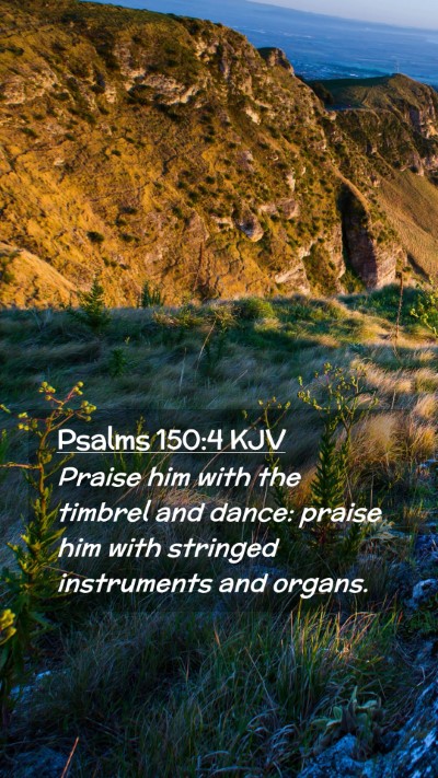 Picture 02 - Psalms 150:4 KJV Mobile Phone Wallpaper - Praise him with the timbrel and dance: praise him - Mobile Bible Verse Wallpaper