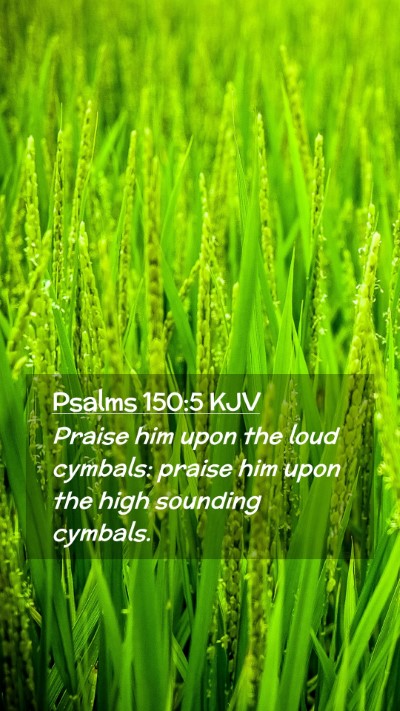 Picture 02 - Psalms 150:5 KJV Mobile Phone Wallpaper - Praise him upon the loud cymbals: praise him upon - Mobile Bible Verse Wallpaper