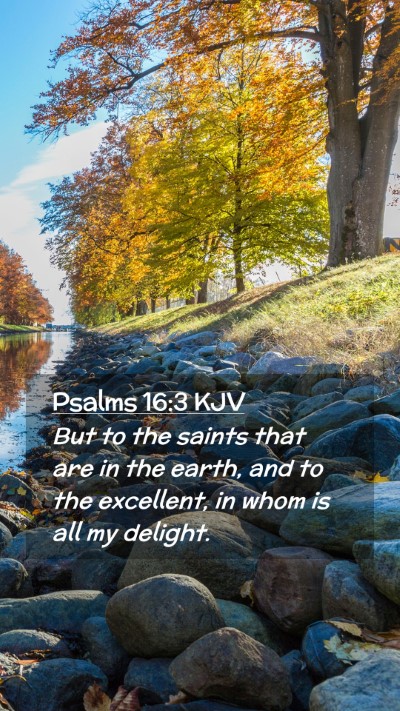 Picture 02 - Psalms 16:3 KJV Mobile Phone Wallpaper - But to the saints that are in the earth, and to - Mobile Bible Verse Wallpaper