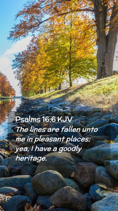 Picture 02 - Psalms 16:6 KJV Mobile Phone Wallpaper - The lines are fallen unto me in pleasant places; - Mobile Bible Verse Wallpaper