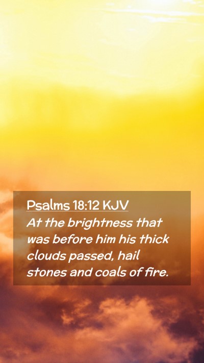 Picture 02 - Psalms 18:12 KJV Mobile Phone Wallpaper - At the brightness that was before him his thick - Mobile Bible Verse Wallpaper