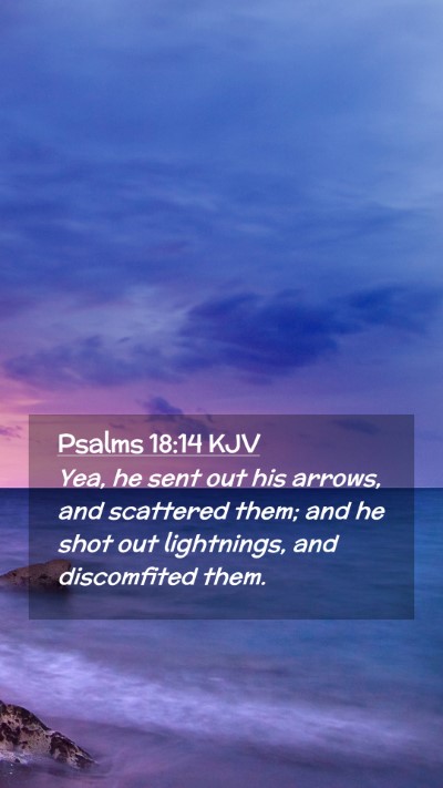 Picture 02 - Psalms 18:14 KJV Mobile Phone Wallpaper - Yea, he sent out his arrows, and scattered them; - Mobile Bible Verse Wallpaper