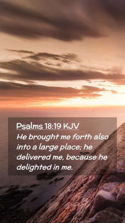 Picture 02 - Psalms 18:19 KJV Mobile Phone Wallpaper - He brought me forth also into a large place; he - Mobile Bible Verse Wallpaper
