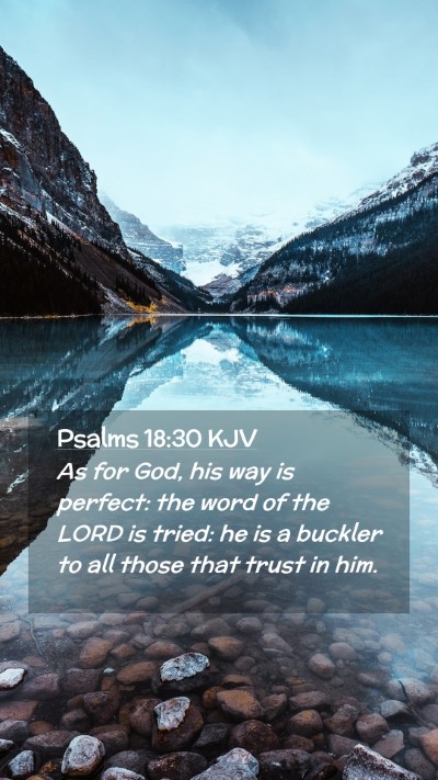 Picture 02 - Psalms 18:30 KJV Mobile Phone Wallpaper - As for God, his way is perfect: the word of the - Mobile Bible Verse Wallpaper