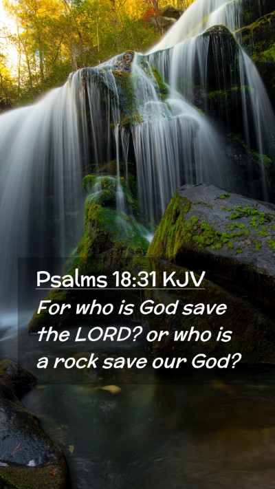 Picture 02 - Psalms 18:31 KJV Mobile Phone Wallpaper - For who is God save the LORD? or who is a rock - Mobile Bible Verse Wallpaper