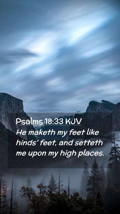 Picture 02 - Psalms 18:33 KJV Mobile Phone Wallpaper - He maketh my feet like hinds' feet, and setteth - Mobile Bible Verse Wallpaper
