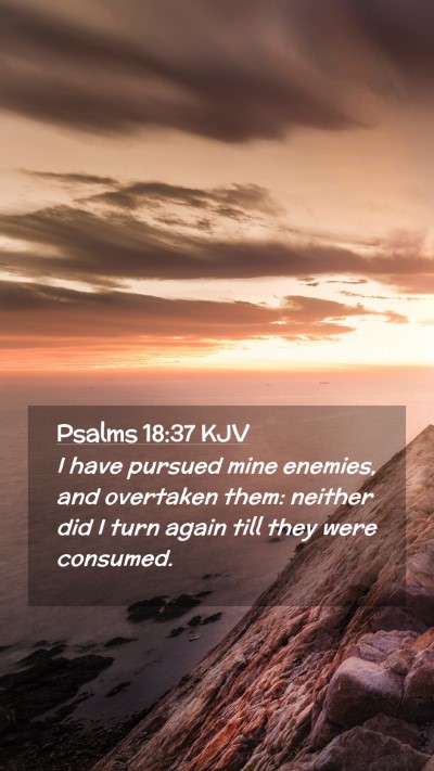 Picture 02 - Psalms 18:37 KJV Mobile Phone Wallpaper - I have pursued mine enemies, and overtaken them: - Mobile Bible Verse Wallpaper