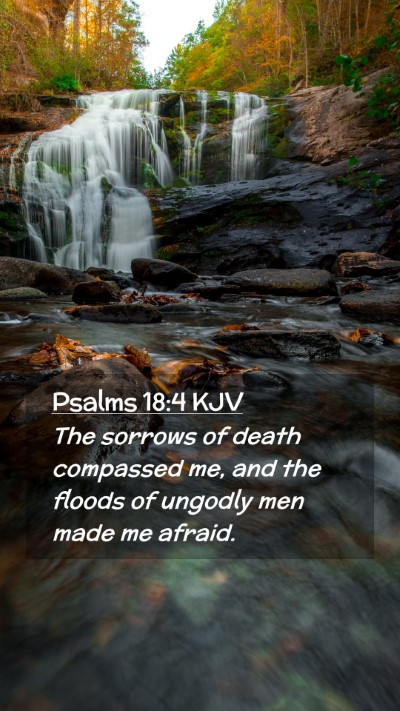 Picture 02 - Psalms 18:4 KJV Mobile Phone Wallpaper - The sorrows of death compassed me, and the floods - Mobile Bible Verse Wallpaper