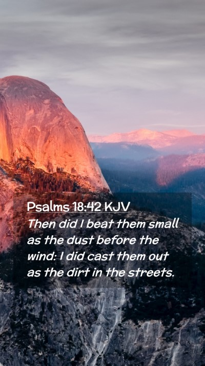 Picture 02 - Psalms 18:42 KJV Mobile Phone Wallpaper - Then did I beat them small as the dust before the - Mobile Bible Verse Wallpaper